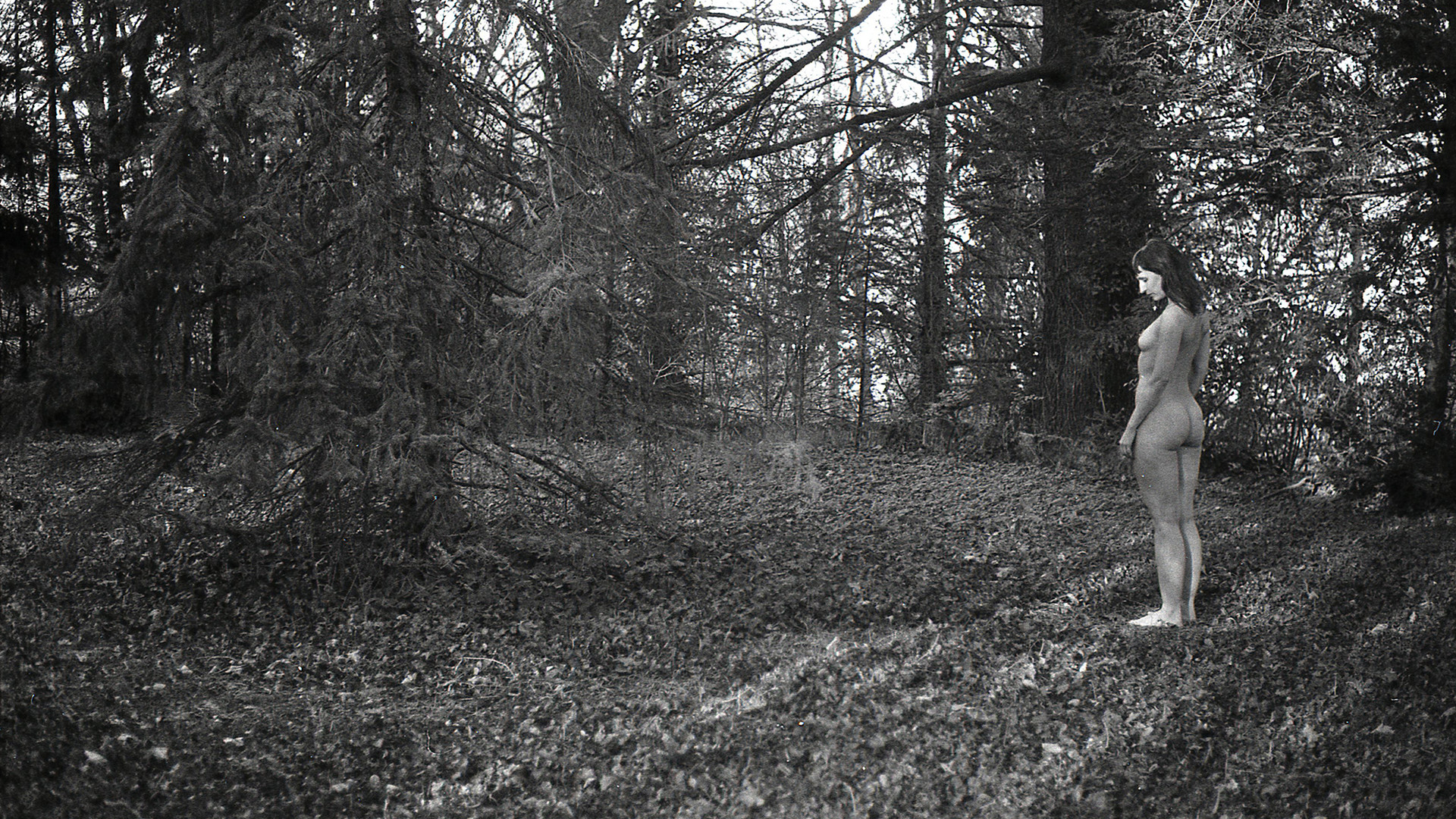 Yarışma: Essay-4 görsel 2